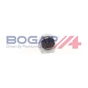 B6132100 BOGAP