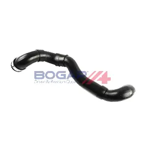 C4228311 BOGAP