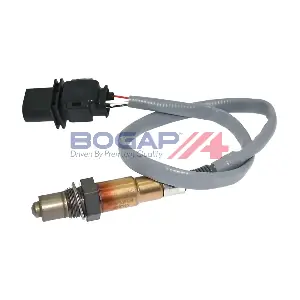 B6119127 BOGAP
