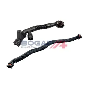 B1217105 BOGAP