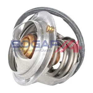 T4245103 BOGAP