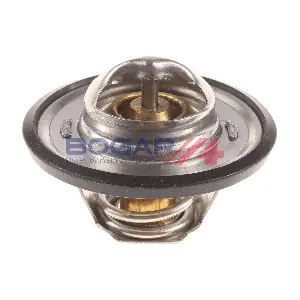 BOGAP A4245111