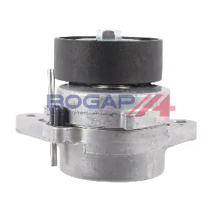 A1317118 BOGAP