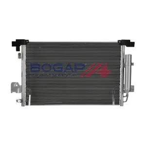 P4117100 BOGAP