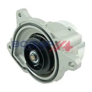 A4234137 BOGAP