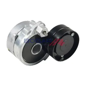 A1317145 BOGAP