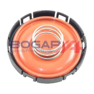 B1116104 BOGAP