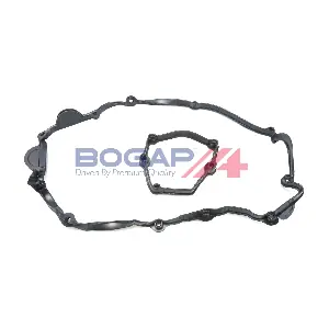 B1118108 BOGAP