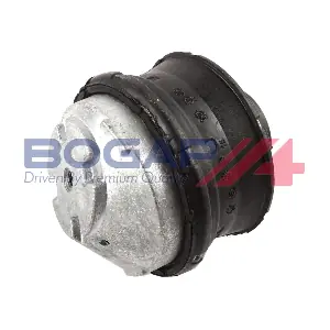C1918109 BOGAP