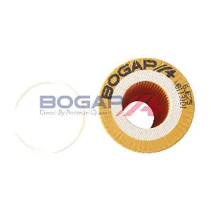 BOGAP V8113101