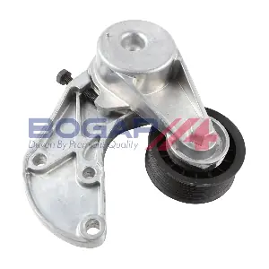 A1317102 BOGAP