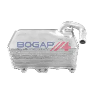 A4222139 BOGAP