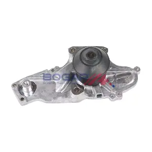 H4234109 BOGAP