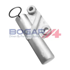 S1317100 BOGAP
