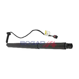 BOGAP V5260110