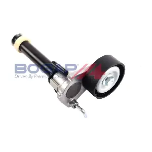 A1317128 BOGAP