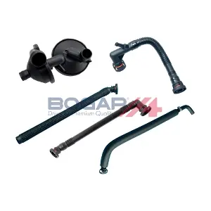 B1217118 BOGAP