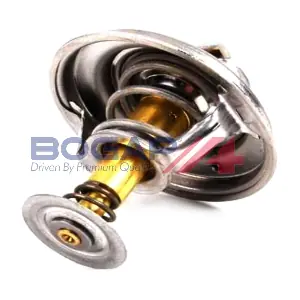 C4245103 BOGAP