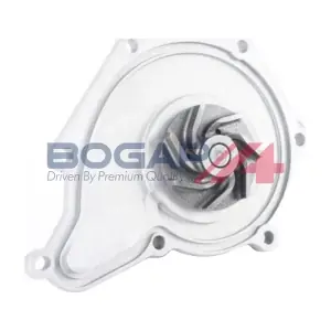 A4234145 BOGAP