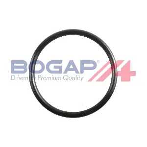 C4248100 BOGAP