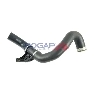 C1711144 BOGAP