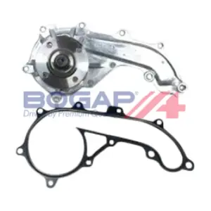 T4234114 BOGAP