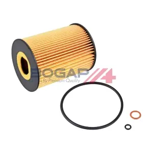 B8113124 BOGAP
