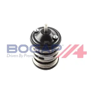 B4245127 BOGAP