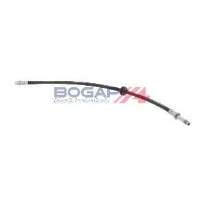 C3124142 BOGAP