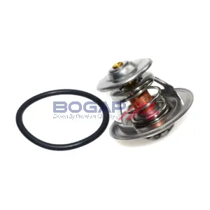 BOGAP A4245121