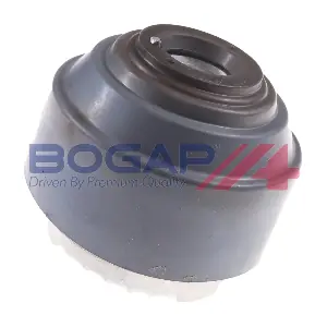 C1918101 BOGAP