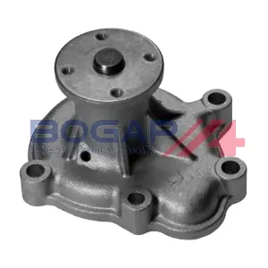 L4234109 BOGAP