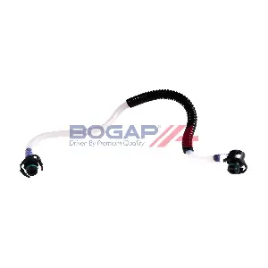 C1621116 BOGAP