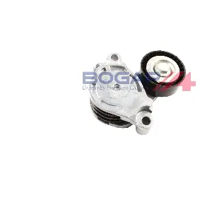 B1317118 BOGAP
