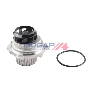 A4234124 BOGAP