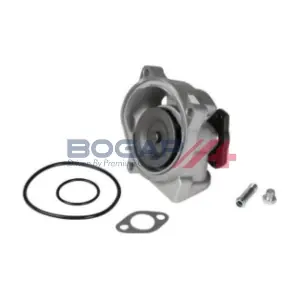 A4234119 BOGAP