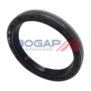 B1119105 BOGAP