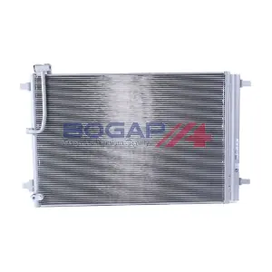 A4117170 BOGAP