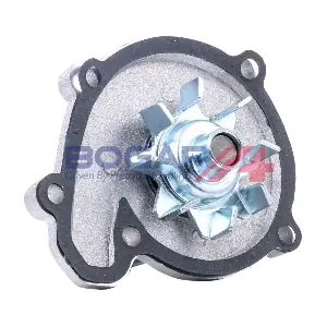 V4234102 BOGAP