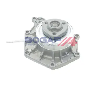 A4234213 BOGAP