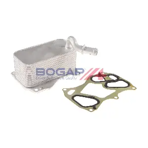 C4222110 BOGAP
