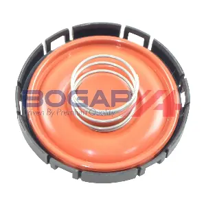 B1116108 BOGAP