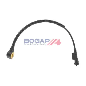 BOGAP Y6113109