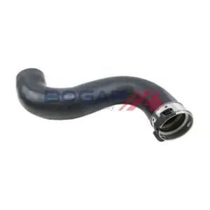 BOGAP A1711389