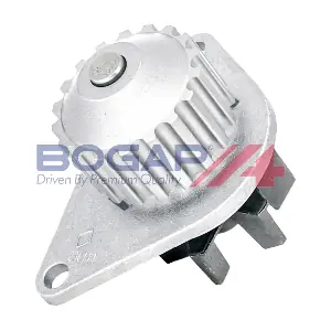 P4234110 BOGAP