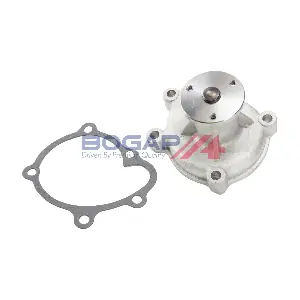 L4234106 BOGAP