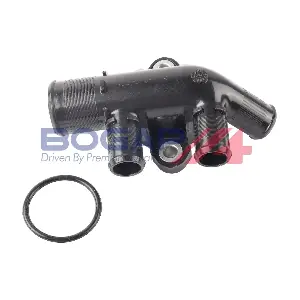 BOGAP P4252103