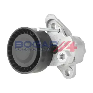 A1317157 BOGAP