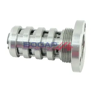 BOGAP A1338103