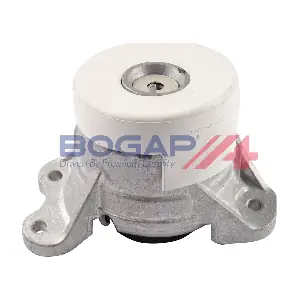 C1911198 BOGAP
